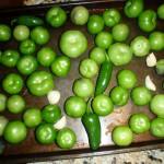 tomatillos, jalapenos and garlic ready for the oven