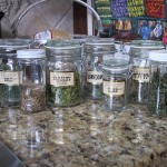 Drying Herbs